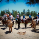 Group of people on horseback outdoors near the Grand Canyon AZ