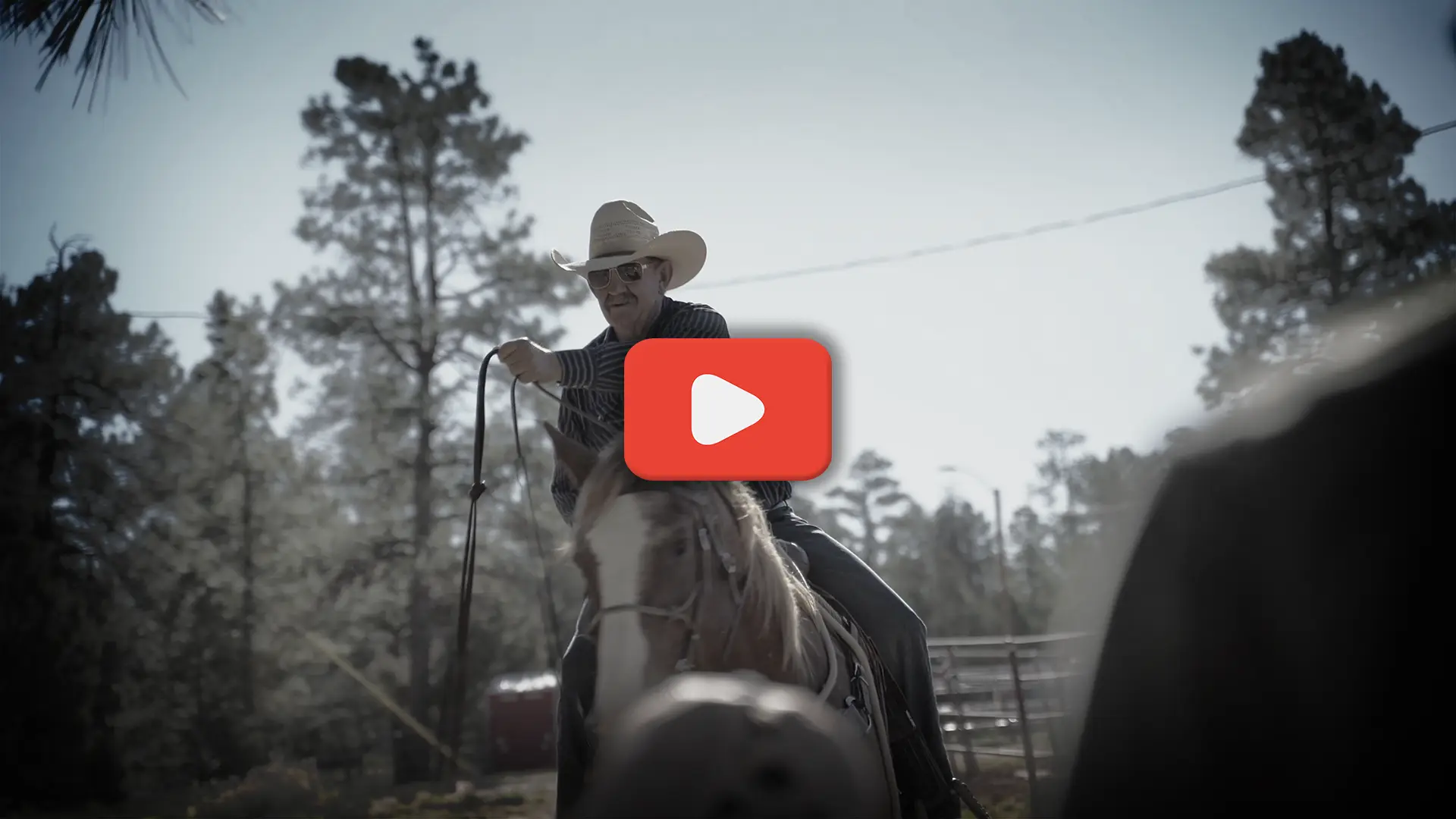 Horseback Riding near the Grand Canyon - Promo Video